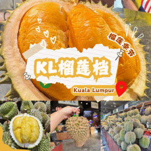 KL榴莲档