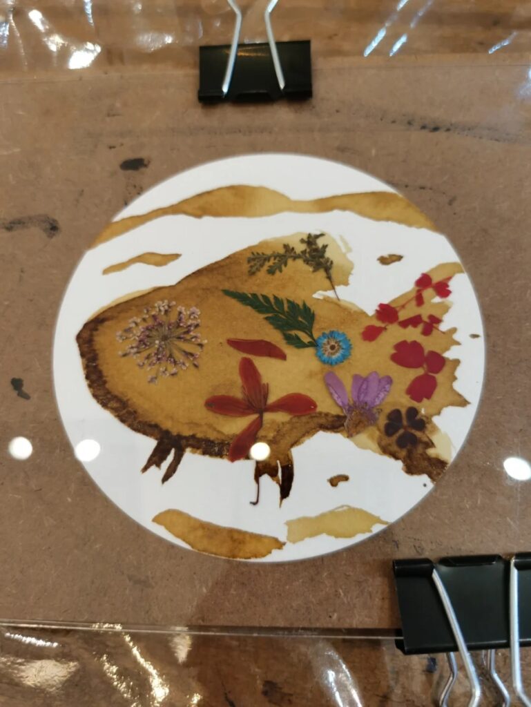新山一日游好去处