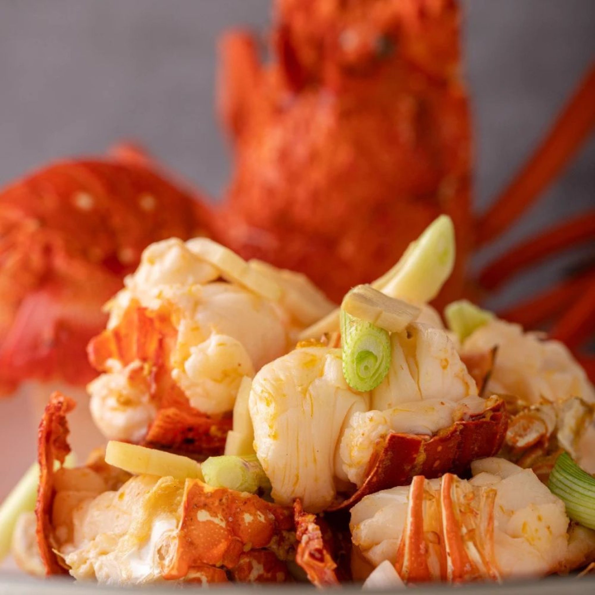 新山JB婚宴酒楼-隆盛用餐区,新山婚宴酒楼推荐，JB婚宴场地，新山聚餐好去处，JB家庭聚餐推荐，新山包厢餐厅，JB私人包厢餐厅，新山新年团圆饭餐厅，JB团圆饭推荐，新山/Jb过年吃饭好地方，新山/Jb 收工酒介绍，新山/JB 必吃的酒楼