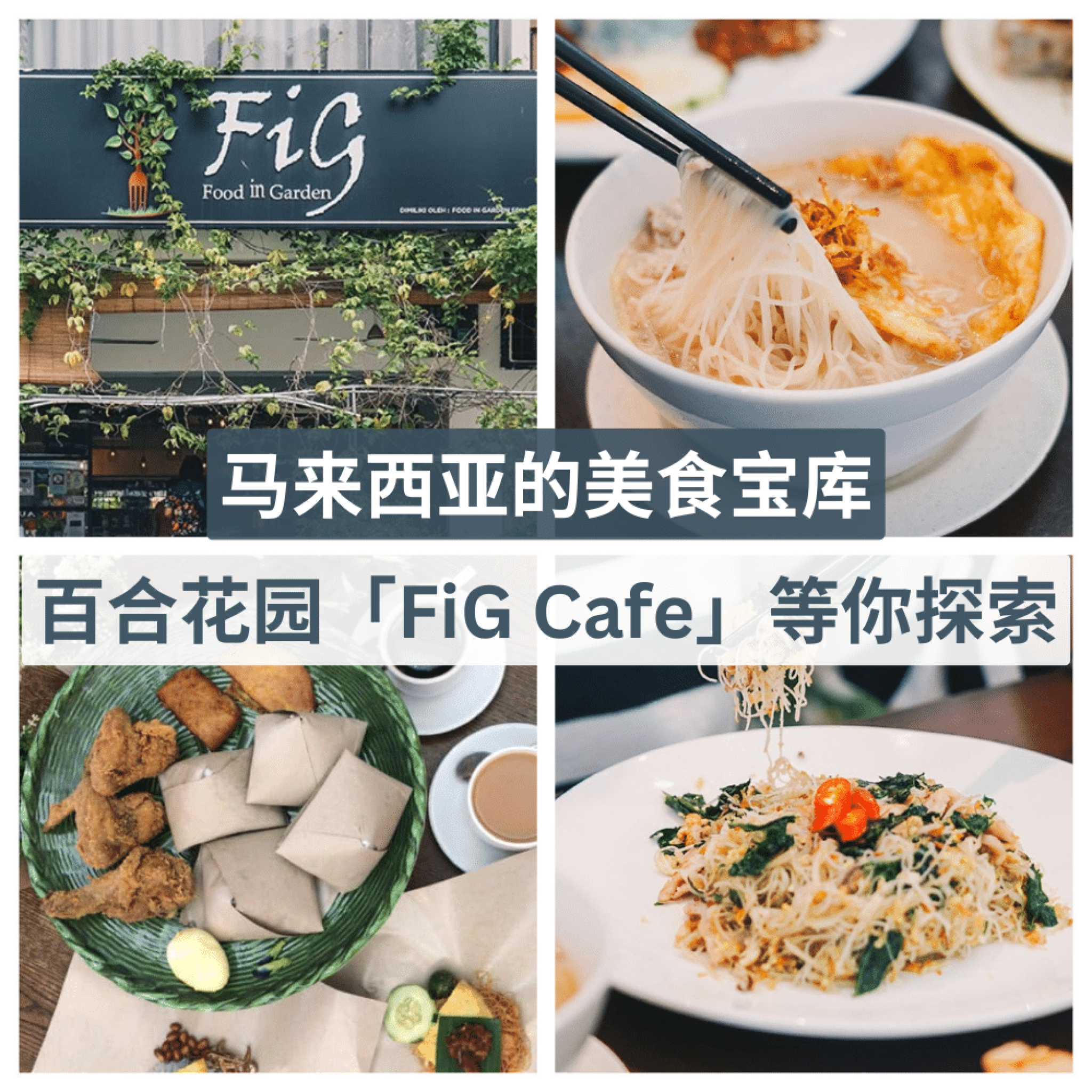 Fig Cafe